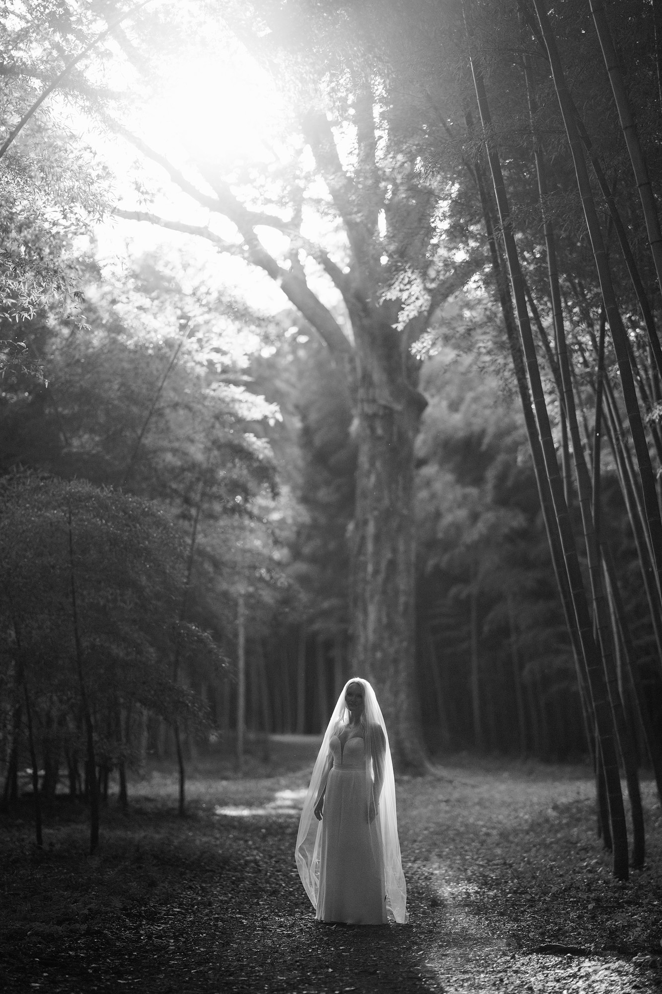 Bamboo forest elopement